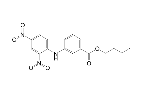 Benzoic acid, 3-(2,4-dinitrophenylamino)-, butyl ester