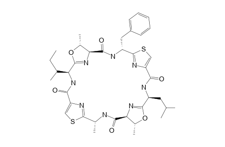 PATELLAMIDE_B