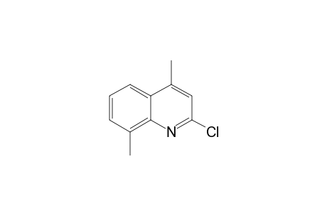 Quinoline, 2-chloro-4,8-dimethyl-