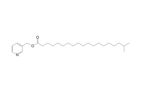 Picolinyl 18-methylnonadecanoate