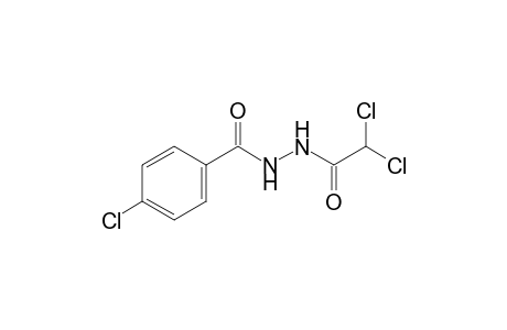 1-(p-chlorobenzoyl)-2-(dichloroacetyl)hydrazine