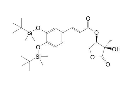 3-O-[di-O-(t-Butyldimethylsilyl)caffeyl]-2,3,4-trihydroxy-2-methylbutan-1,4-olide