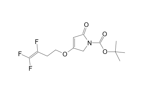 tert-Butyl 2-oxo-4-(3,4,4-trifluorobut-3-enyloxy)-2,5-dihydro-1H-pyrrole-1-carboxylate