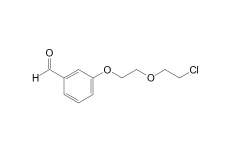 m-[2-(2-chloroethoxy)ethoxy]benzaldehyde