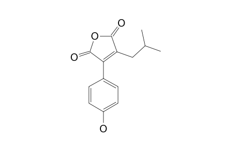 ANTROCINNAMOMIN_C;3-ISOBUTYL-4-(4-HYDROXYPHENYL)-FURAN-2,5-DIONE