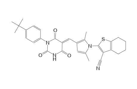 2-{3-[(E)-(1-(4-tert-butylphenyl)-2,4,6-trioxotetrahydro-5(2H)-pyrimidinylidene)methyl]-2,5-dimethyl-1H-pyrrol-1-yl}-4,5,6,7-tetrahydro-1-benzothiophene-3-carbonitrile