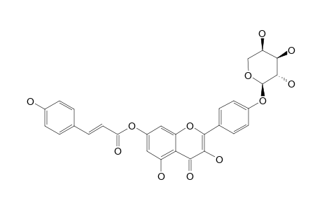 ABUTILIN-B;7-O-(E)-PARA-COUMAROYL-KAEMPFEROL-4'-O-ALPHA-L-ARABINOPYRANOSIDE