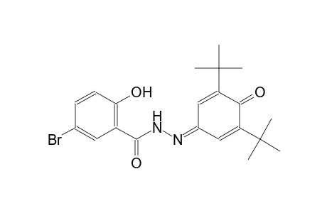 5-bromo-N'-(3,5-ditert-butyl-4-oxo-2,5-cyclohexadien-1-ylidene)-2-hydroxybenzohydrazide