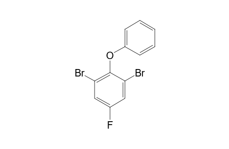 2,6-DIBROMO-4-FLUOROPHENYL-PHENYLETHER