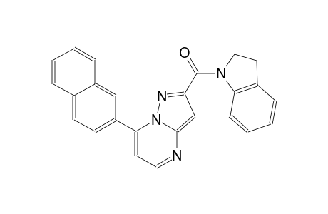 2-(2,3-dihydro-1H-indol-1-ylcarbonyl)-7-(2-naphthyl)pyrazolo[1,5-a]pyrimidine
