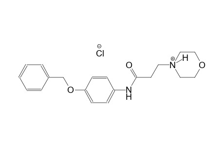 4-{3-[4-(benzyloxy)anilino]-3-oxopropyl}morpholin-4-ium chloride