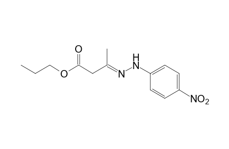 acetoacetic acid, propyl ester, p-dinitrophenylhydrazone