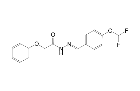 N'-{(E)-[4-(difluoromethoxy)phenyl]methylidene}-2-phenoxyacetohydrazide