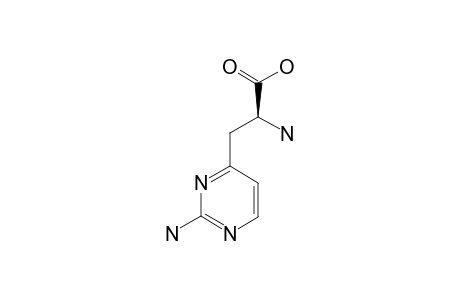 (S)-BETA-(2-AMINOPYRIMIDIN-4-YL)-ALPHA-AMINOPROPANOIC-ACID;L-LATHYRINE