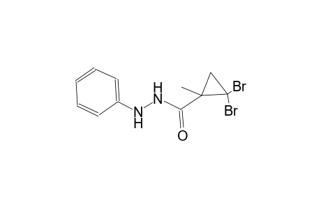 2,2-dibromo-1-methyl-N'-phenylcyclopropanecarbohydrazide