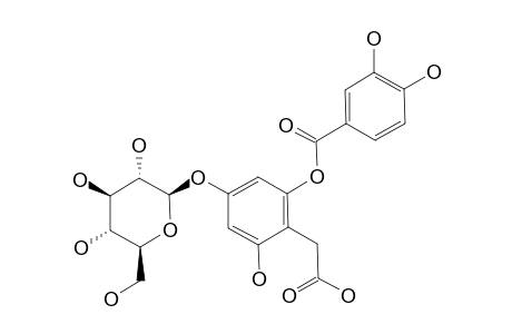 2-O-(3,4-DIHYDROXYBENZOYL)-2,4,6-TRIHYDROXYPHENYLACETIC-ACID-4-O-BETA-D-GLUCOPYRANOSIDE