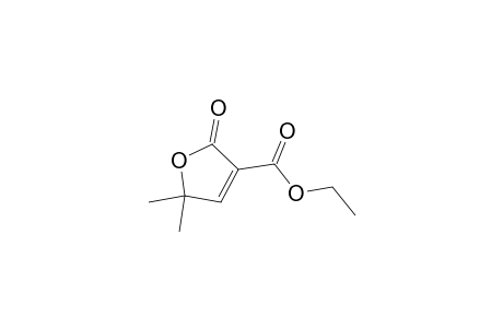 2-keto-5,5-dimethyl-furan-3-carboxylic acid ethyl ester