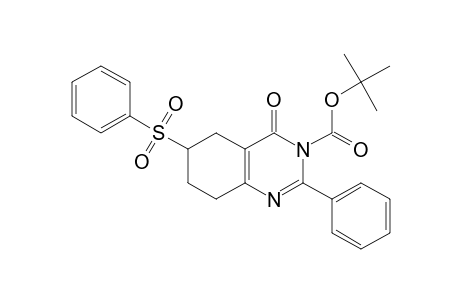 TERT.-BUTYL-4-OXO-2-PHENYL-6-(PHENYLSULFONYL)-5,6,7,8-TETRAHYDRO-4H-QUINAZOLINE-3-CARBOXYLATE