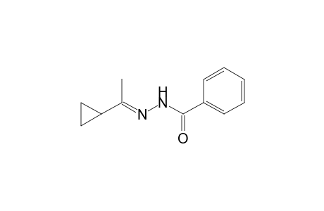 N-[(E)-1-cyclopropylethylideneamino]benzamide