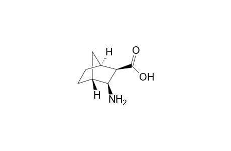 exo-3-aminobicyclo[2.2.1]heptane-2-carboxylic acid