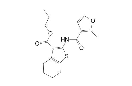 propyl 2-[(2-methyl-3-furoyl)amino]-4,5,6,7-tetrahydro-1-benzothiophene-3-carboxylate