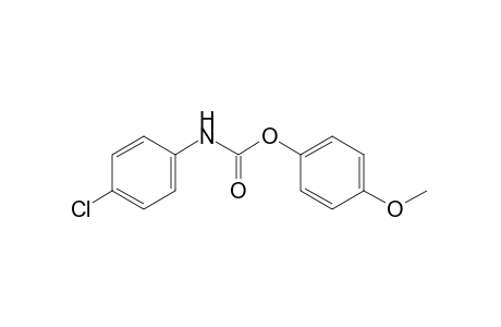 p-chlorocarbanilic acid, p-methoxyphenyl ester