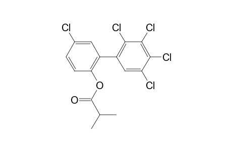 2-Hydroxy-2',3',4',5,5'-pentachlorobiphenyl, 2-methylpropionate