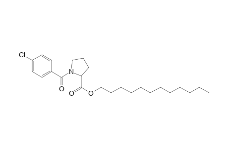 L-Proline, N-(4-chlorobenzoyl)-, dodecyl ester