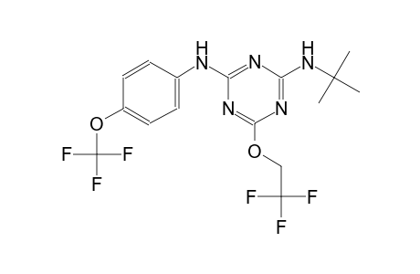 2-N-tert-butyl-6-(2,2,2-trifluoroethoxy)-4-N-[4-(trifluoromethoxy)phenyl]-1,3,5-triazine-2,4-diamine