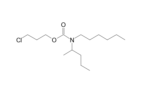 Carbonic acid, monoamide, N-(2-pentyl)-N-hexyl-, 3-chloropropyl ester