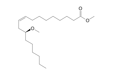 METHYL-(9Z,12R)-12-METHOXY-9-OCTADECENOATE