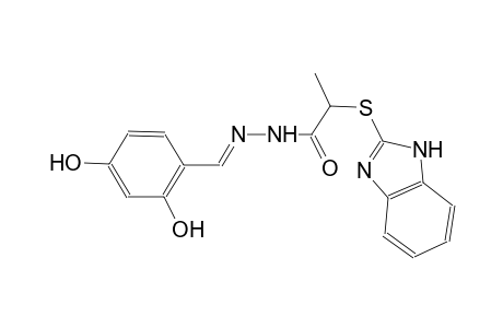 2-(1H-benzimidazol-2-ylsulfanyl)-N'-[(E)-(2,4-dihydroxyphenyl)methylidene]propanohydrazide