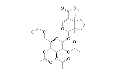 Cyclopenta[c]pyran-4-carboxylic acid, 1,4a,5,6,7,7a-hexahydro-1-[(2,3,4,6-tetra-O-acetyl-.beta.-D-glucopyra nosyl)oxy]-, methyl ester, [1S-(1.alpha.,4a.alpha.,7a.alpha.)]-