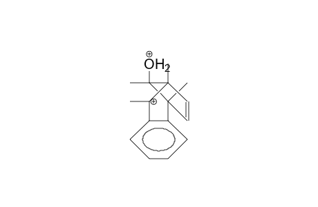 2,3-Benzo-1,4,5,8-tetramethyl-8-exo-hydroxonium-tricyclo(3.2.1)oct-2,6-diene dication