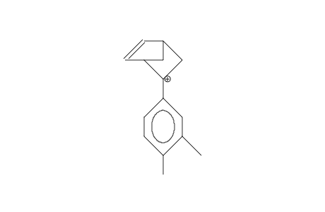 2-(3,4-Dimethyl-phenyl)-5-norbornen-2-yl cation