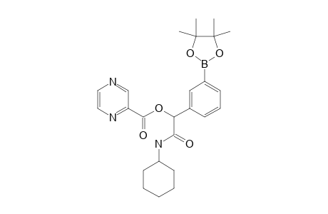 2-(CYCLOHEXYLAMINO)-2-OXO-1-[3-(4,4,5,5-TETRAMETHYL-1,3,2-DIOXABOROLAN-2-YL)-PHENYL]-ETHYL-PYRAZINE-2-CARBOXYLATE