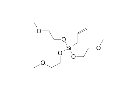 Allyl-tris(2-methoxyethoxy)silane