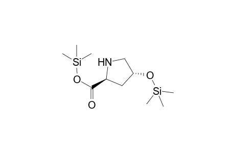 trans-4-hydroxy-proline, 2TMS