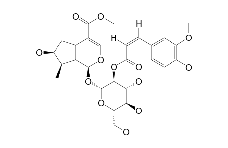 2'-FERULOYL-LOGANIN (cis)