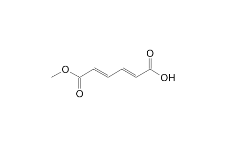 (2E,4E)-6-keto-6-methoxy-hexa-2,4-dienoic acid