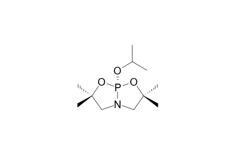 3,3,7,7-TETRAMETHYL-1-ISOPROPYLOXY-2,8-DIOXA-5-AZA-1-PHOPHA-(V)-[3.3.0]-BICYCLOOCTANE
