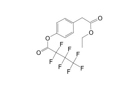 Ethyl 4-hydroxyphenylacetate heptafluorobutyrate