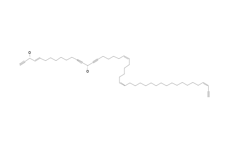 PETROCORTYNE_A