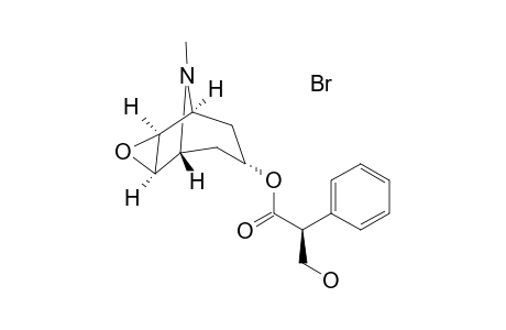 Scopolamine hydrobromide hydrate