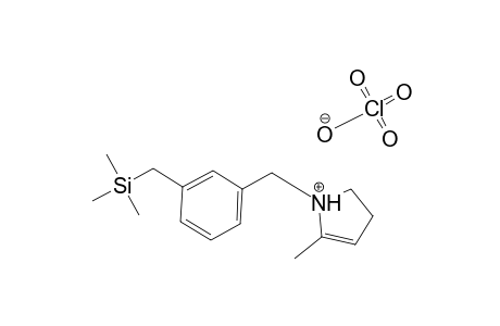 2-Methyl-1-[m-[(trimethylsilyl)methyl]benzyl]-1-pyrrolinium perchlorate