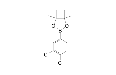 1,2-DICHLORO-4-(4,4,5,5-TETRAMETHYL-1,3,2-DIOXABOROLAN-2-YL)-BENZENE