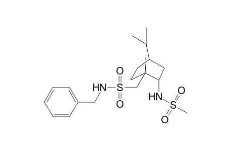 N-Benzyl-2-methylsulfonylamino-7,7-dimethylbicyclo[2.2.1]hept-1-ylmethanesulfonamide