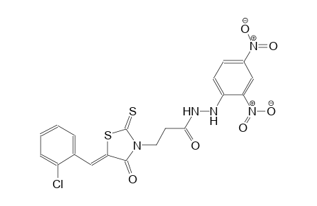 3-[(5Z)-5-(2-chlorobenzylidene)-4-oxo-2-thioxo-1,3-thiazolidin-3-yl]-N'-(2,4-dinitrophenyl)propanohydrazide
