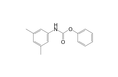 3,5-dimethylcarbanilic acid, phenyl ester