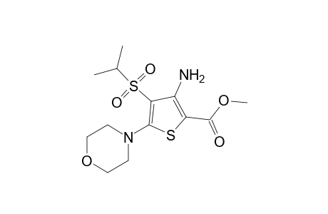 3-amino-4-(isopropylsulfonyl)-5-morpholino-2-thiophenecarboxylic acid, methyl ester